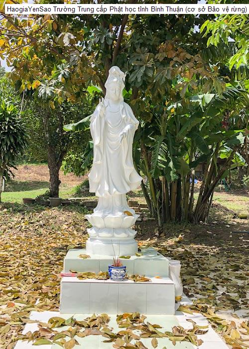Danh Sách 7 Chùa, địa chỉ tâm linh tại Huyện Hàm Thuận Nam Tỉnh Bình Thuận (Phần 3)