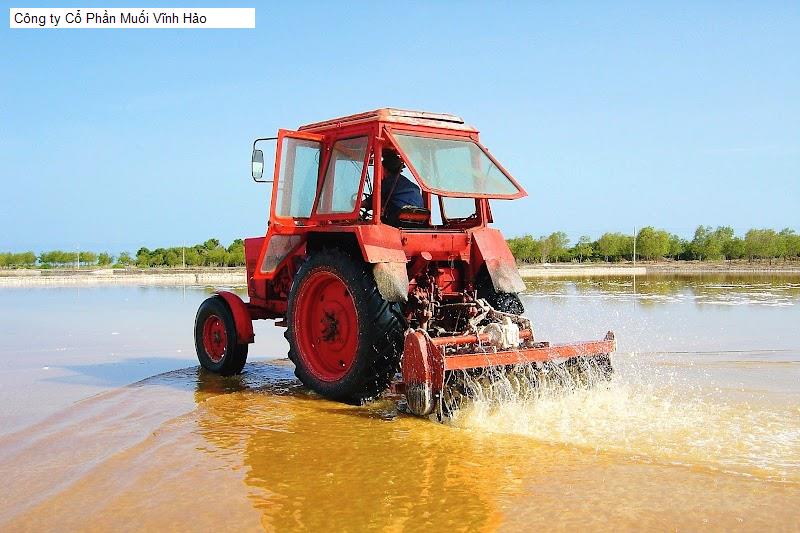 Công ty Cổ Phần Muối Vĩnh Hảo