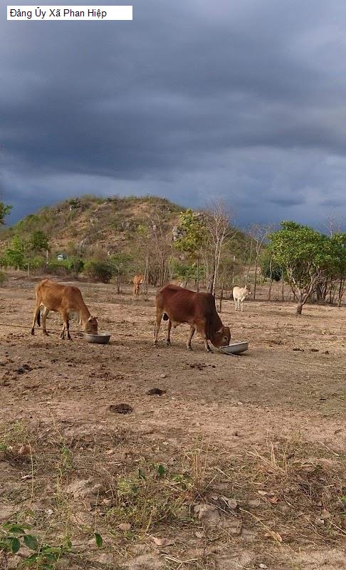 Đảng Ủy Xã Phan Hiệp