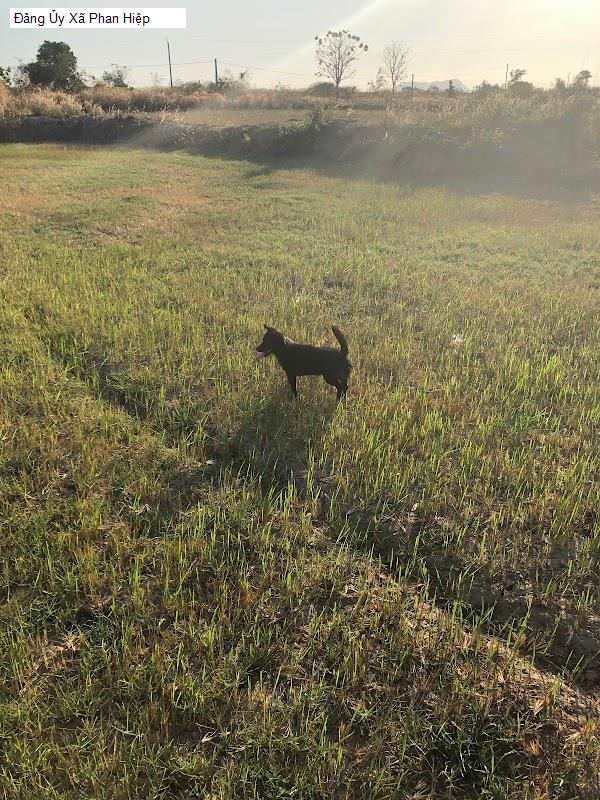 Đảng Ủy Xã Phan Hiệp