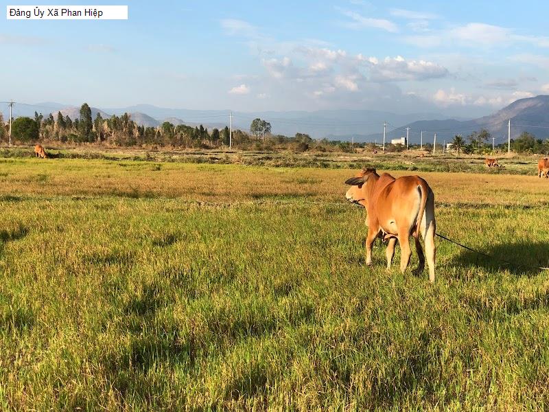 Đảng Ủy Xã Phan Hiệp