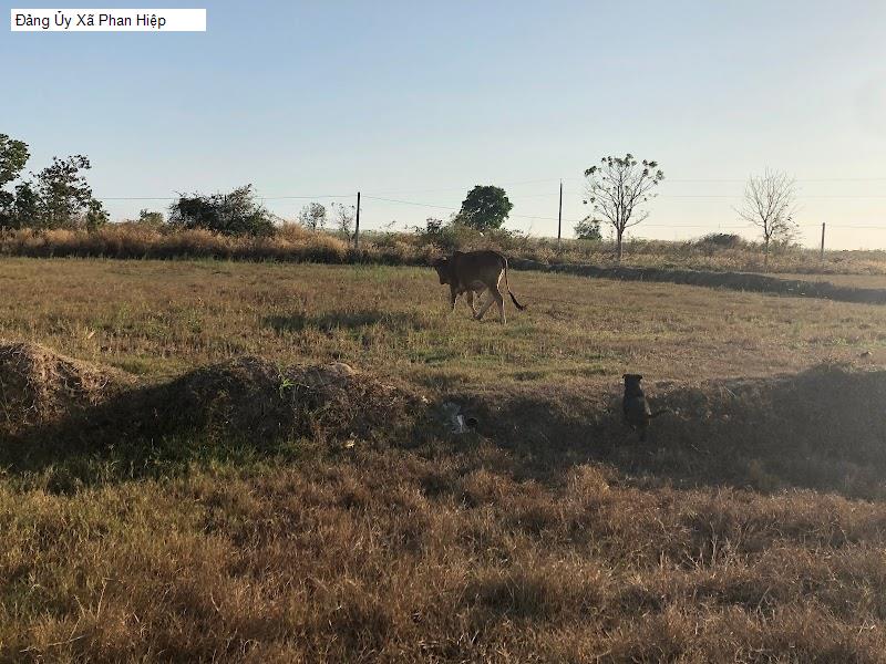 Đảng Ủy Xã Phan Hiệp