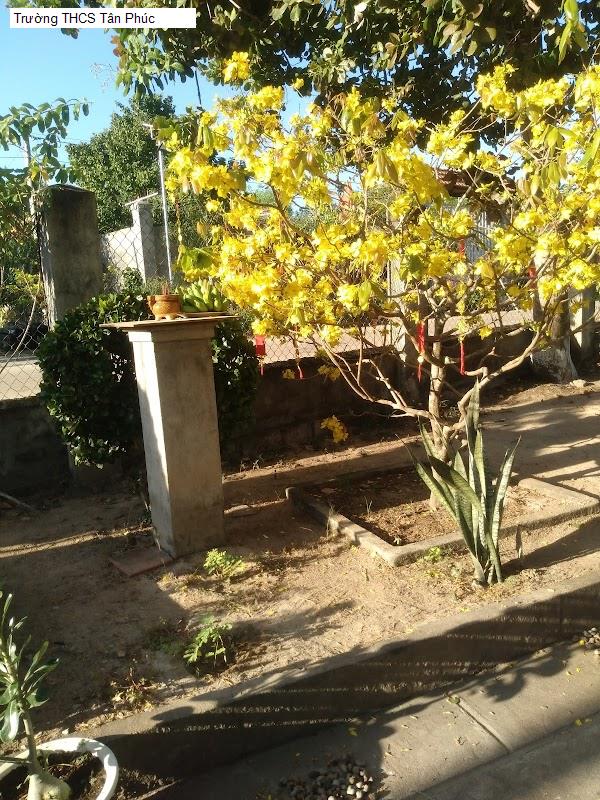 Trường THCS Tân Phúc